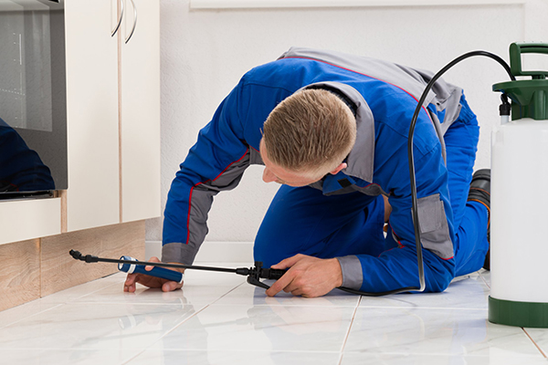 pest controller insurance feature image